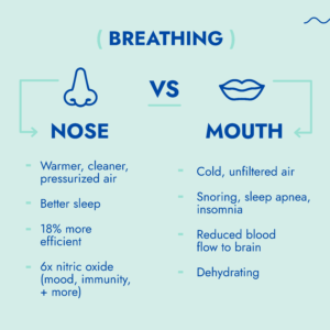 Nose breathing versus mouth breathing.  Nose breathing leads to warmer, cleaner air, better sleep, and less stress
